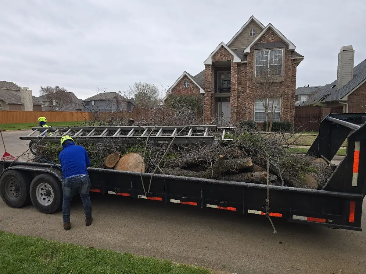 Expert Lot Clearing with proper safety equipment in Fort Polk